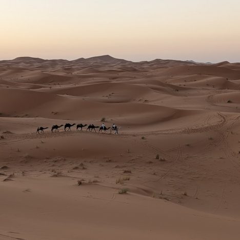 Red Lights Are Just Suggestions: Surviving a Moroccan Road Trip